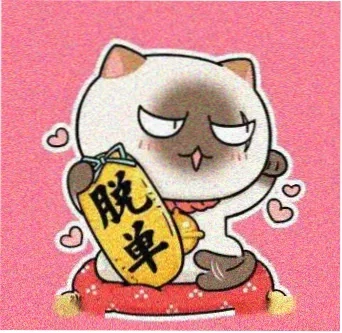 极光旅人